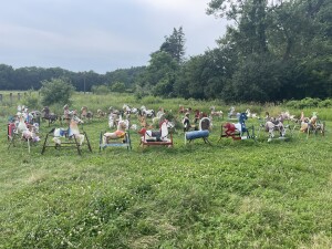 Creepy horses in a field 